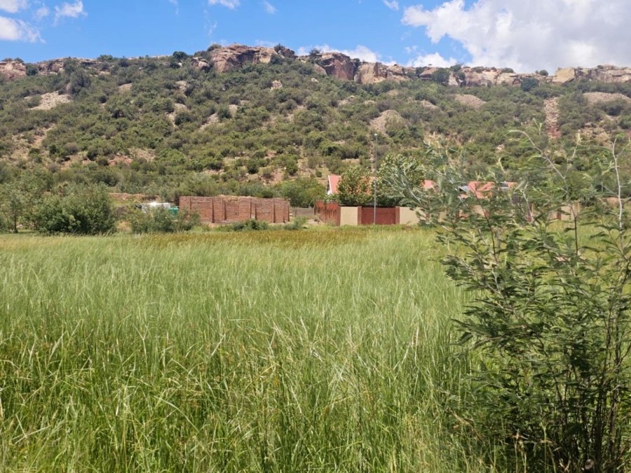 0 Bedroom Property for Sale in Ladybrand Free State